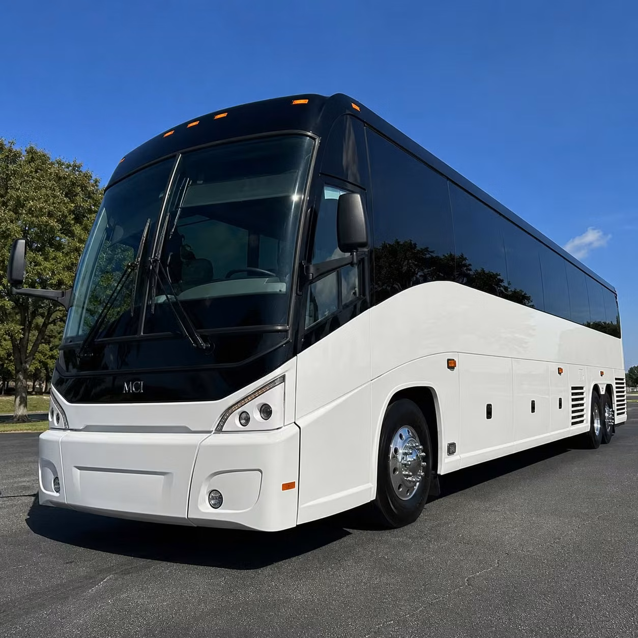 palm coast sports teams and tournament travel made easy